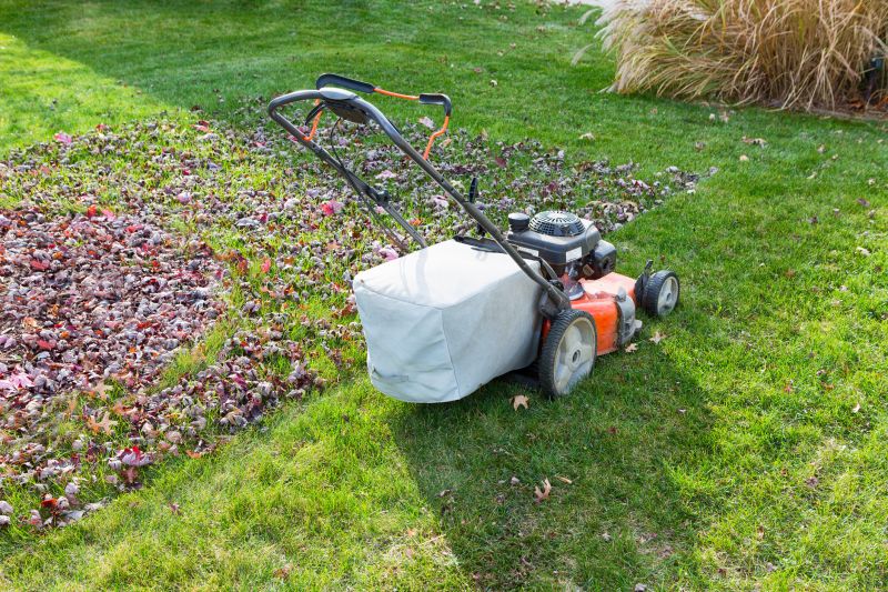Healthy Lawn Preparation