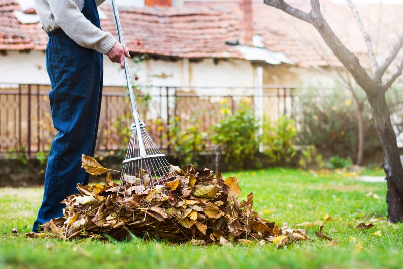 Fall Yard Maintenance