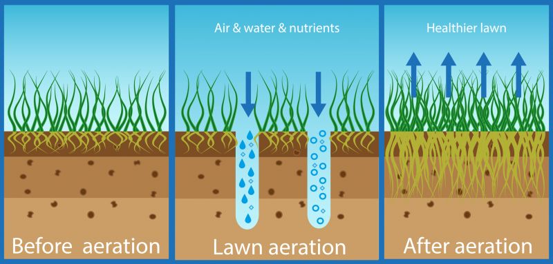Soil Testing Process