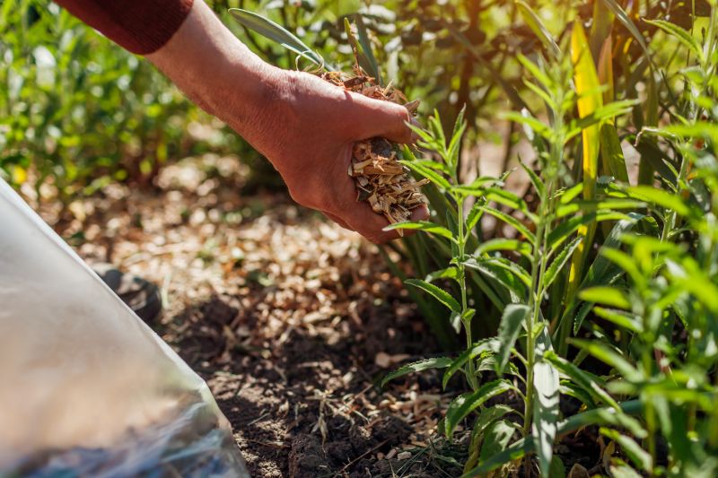 Mulch Application