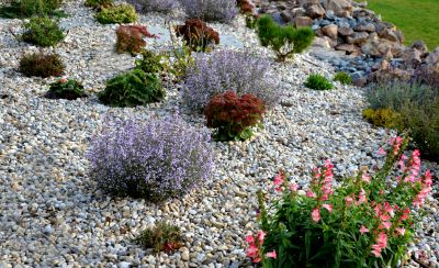 Decorative Gravel
