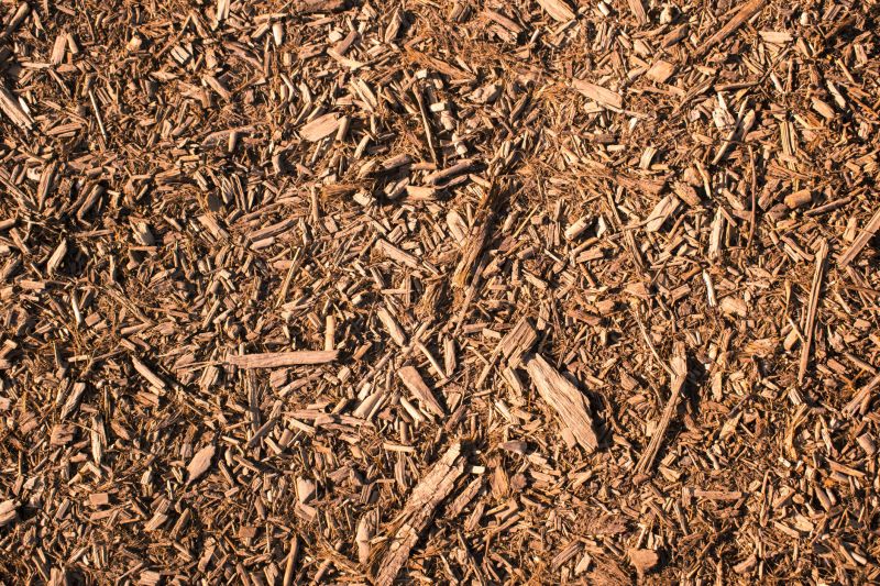 Wood Chip Layer